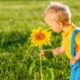Child wearing blue suspenders holding a sunflower
